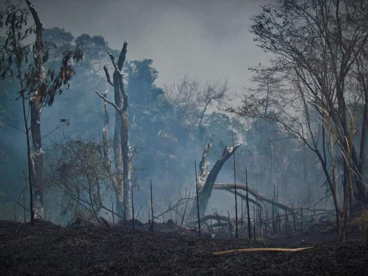 #Campeche Incendios arrasan con 3 mil hectáreas