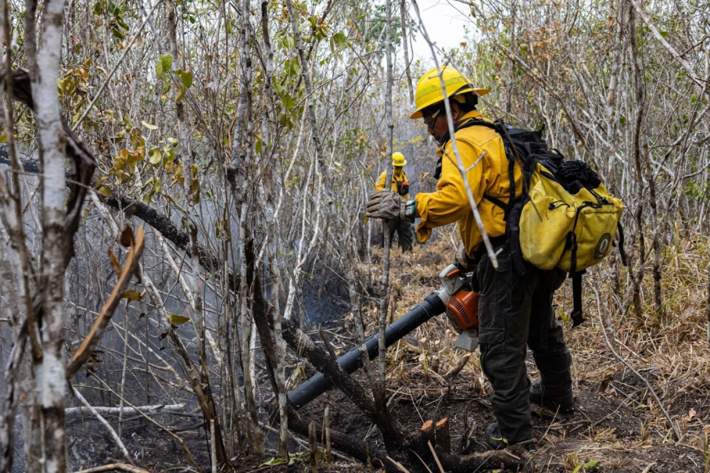 #Campeche Quemas agrícolas y cazadores causaron incendio en #ChunEk